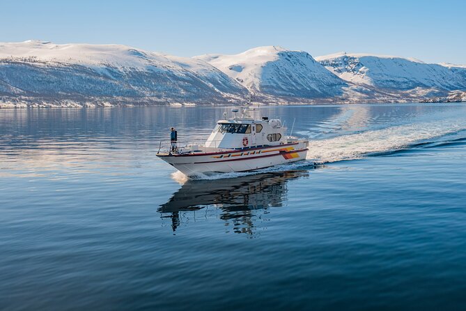 Fjord Safari in the Altafjord - Comfort details that matter in Finnmark cold