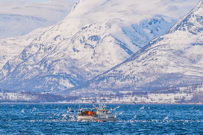 Fjord Safari in the Altafjord - The guide and crew: Valerie, the captain, and how they find the best moments