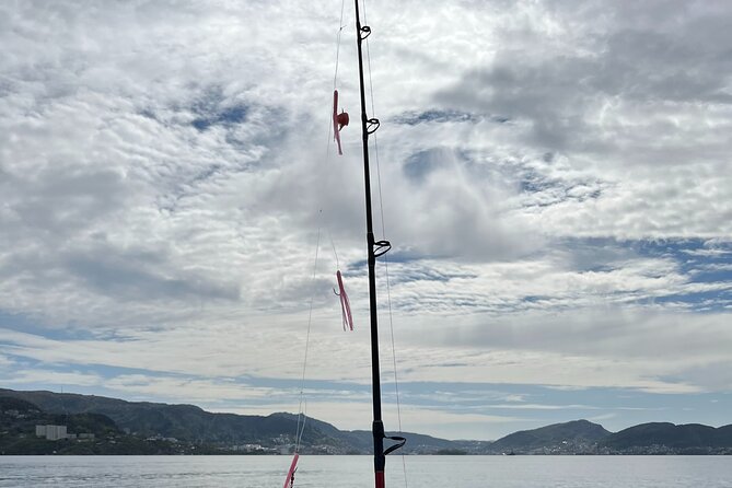 Fjord Sea Safari with Fishing from Bergen - Who this Bergen fjord fishing safari fits best