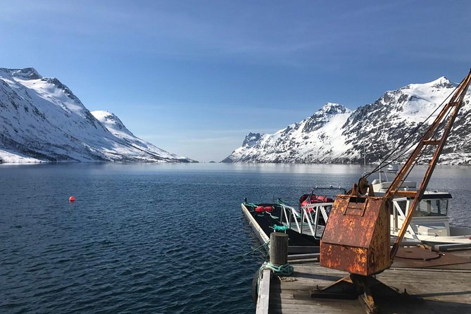 Fjord Sightseeing - Eco friendly Tesla Model X - Key highlights worth clocking in Tromsø