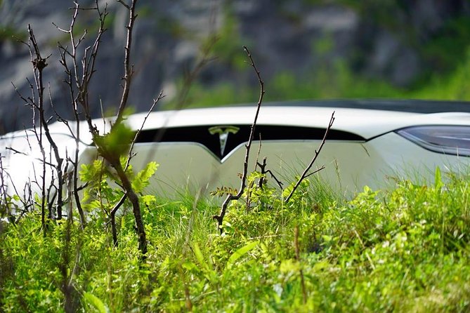 Fjord Sightseeing - Eco friendly Tesla Model X - Getting started at Fredrik Langes gate 2, without wasting your morning
