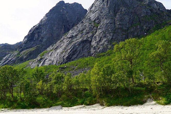 Fjord Sightseeing - Eco friendly Tesla Model X - Aurora Borealis hopes, how to think about it with a 10:00 am start