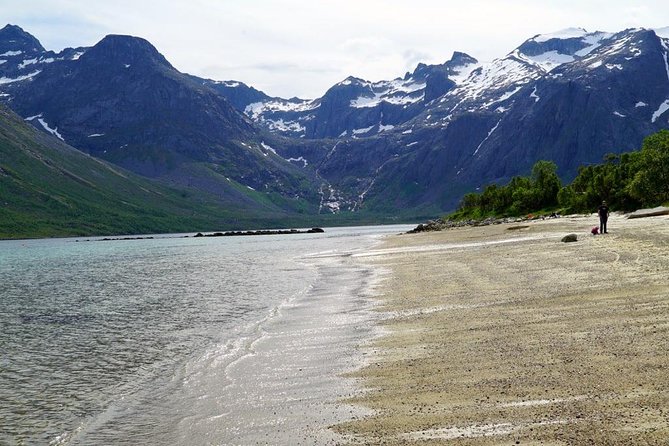 Fjord Sightseeing - Eco friendly Tesla Model X - Price and value: what $171.16 really buys you