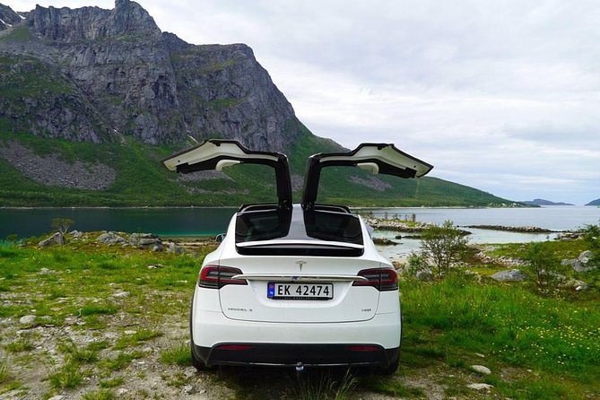 Fjord Sightseeing - Eco friendly Tesla Model X - One real caution before you book