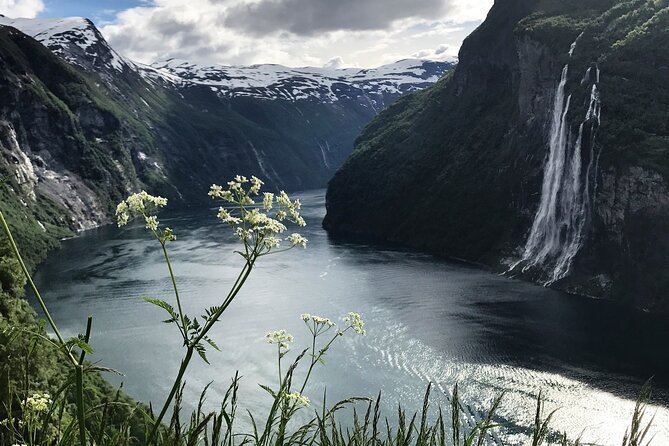 Fjordcruise Ålesund Geirangerfjord T/R - Price and value at about $266 per person