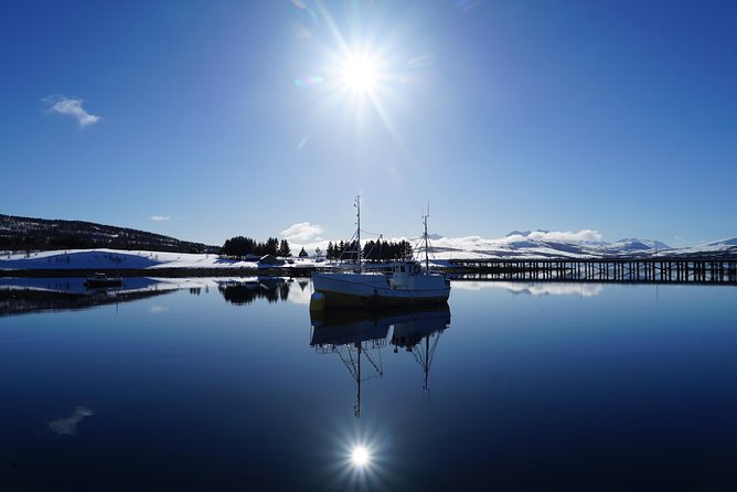 Fjordcruise in a Luxury Yacht Arctic Queen - Arctic Queen in Tromsø, what private actually delivers