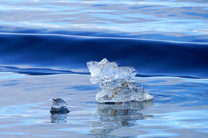 Fjordcruise in a Luxury Yacht Arctic Queen - Price and value at about $269 per person
