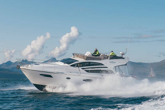 Fjordcruise - Luxury Yacht Arctic Queen - Price and value: what $241.18 covers, and why it matters in the Arctic