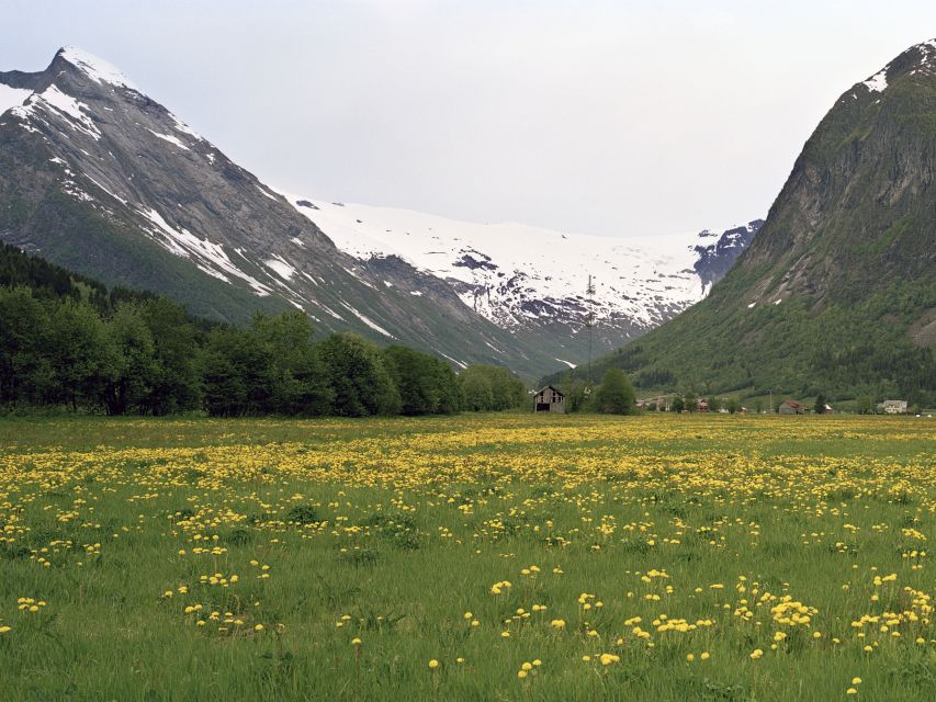 Fjords: Private Trip with Train and Cruise Ride - Key highlights worth planning for