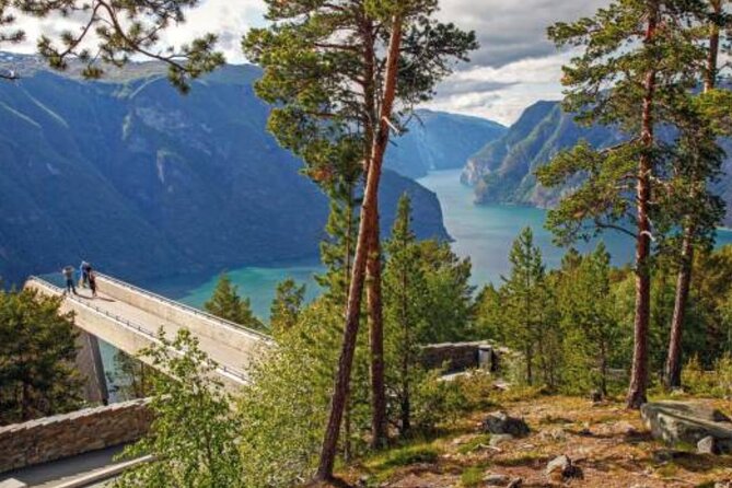 Flam: The Spectacular Stegastein Viewpoint Tour (Small Group) - Audio guide expectations: useful, but this is not a long lecture