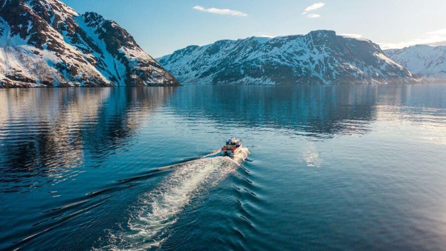 From Alta: Adventure Cruise in Alta Fjord - Key things that make this cruise worth your time
