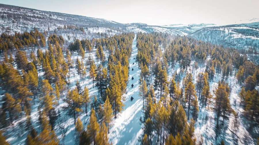 From Alta: Daytime Snowmobile Adventure - Learning to Drive: Simple Tuition, Real Safety Focus
