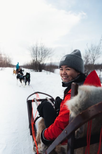 From Alta: Huskey Dog Sledding Tour - Alta dog sledding, built around the dogs and your control