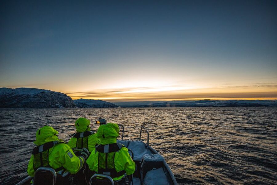 From Alta: Small Group Whale Watching by RIB - Winter Fjords and the Hunting Season: Why This Whale Trip Works