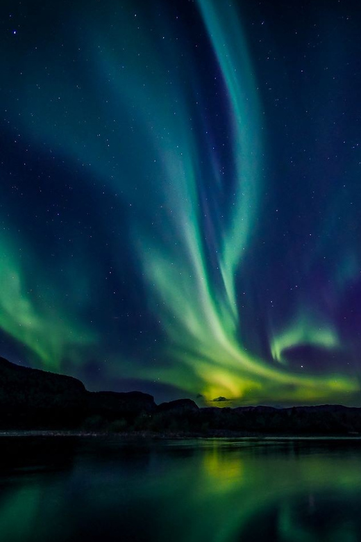 From Alta: Whale and Seabird Cruise - Alta Fjord Autumn Timing: Why This Cruise Works