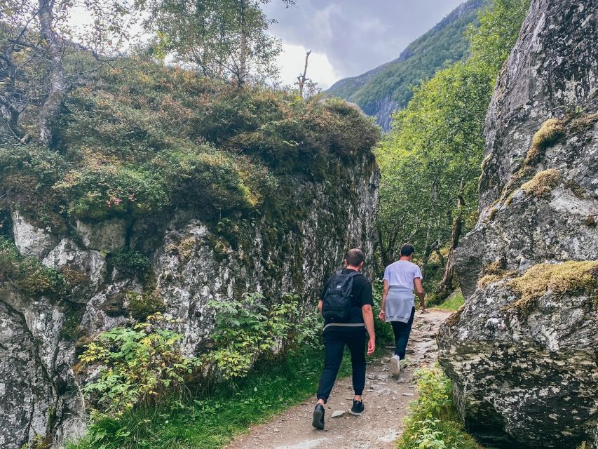 From Bergen: Folgefonna National Park & Glacier Lake Tour - Glacier Lake Picnic and Time to Unplug