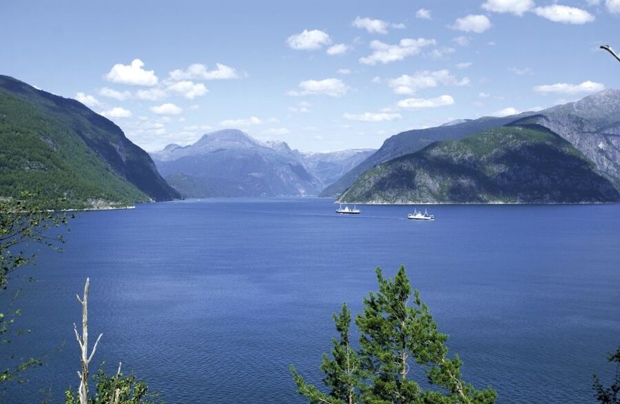 From Bergen: Private Trip to Hardangerfjord - Highway 7 Drive: Waterfalls, Pastures, and Real Norway Road Views