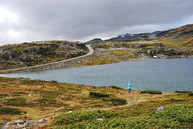 From Flåm, Guided Tour: Stegastein, Borgund Stave Church & More - Stegastein Viewpoint: The Glass-Front Fjord Photo Moment
