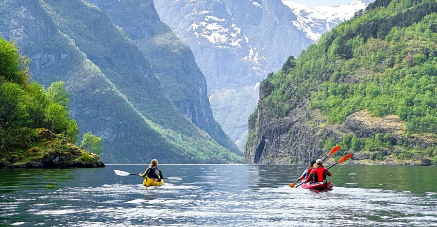 From Flåm: Nærøyfjord 3 Day Kayaking and Camping Tour - Wildlife spotting: seals, porpoises, and why you should slow down your camera