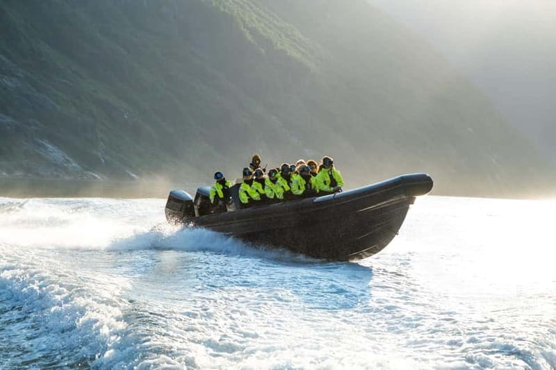 From Hellesylt: Experience Fjordsafari Geirangerfjord on RIB - Key highlights you should care about