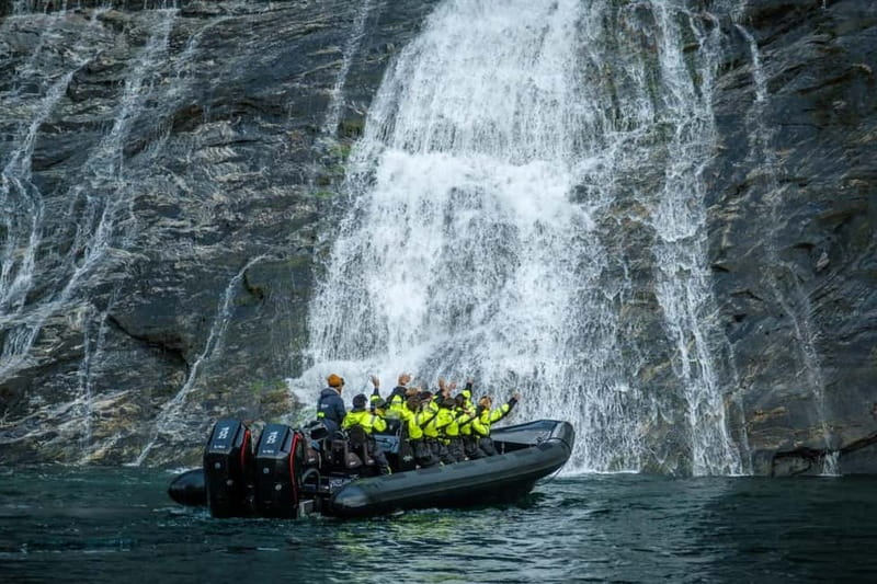 From Hellesylt: Experience Fjordsafari Geirangerfjord on RIB - Wildlife Spotted on the Run, and Camera Tips for a Short Window