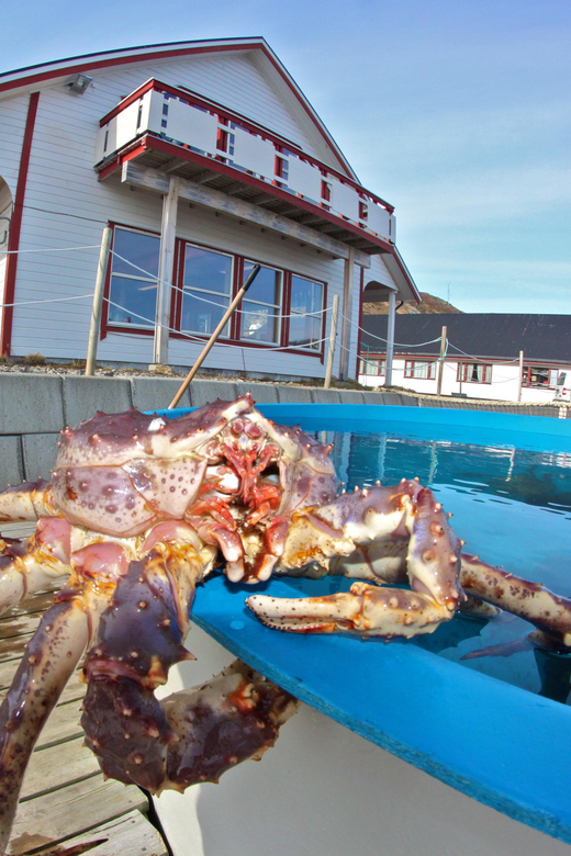 From Honningsvåg: VIP North Cape and Kingcrab Tour - Booking decision: should you choose this VIP North Cape and king crab tour?