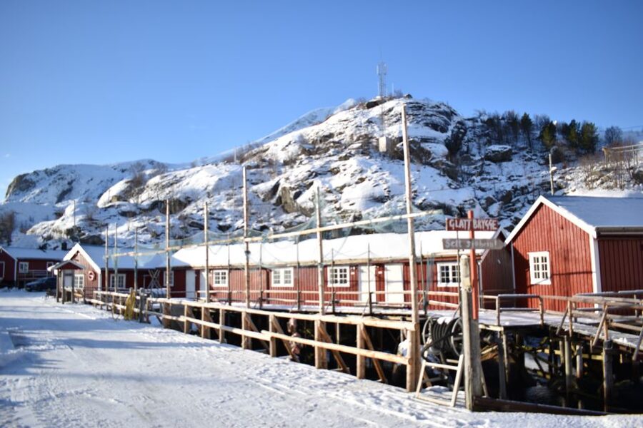 From Leknes City/Port: Private Lofoten Tour with Transfer - Who This Tour Suits Best (And Who Should Think Twice)