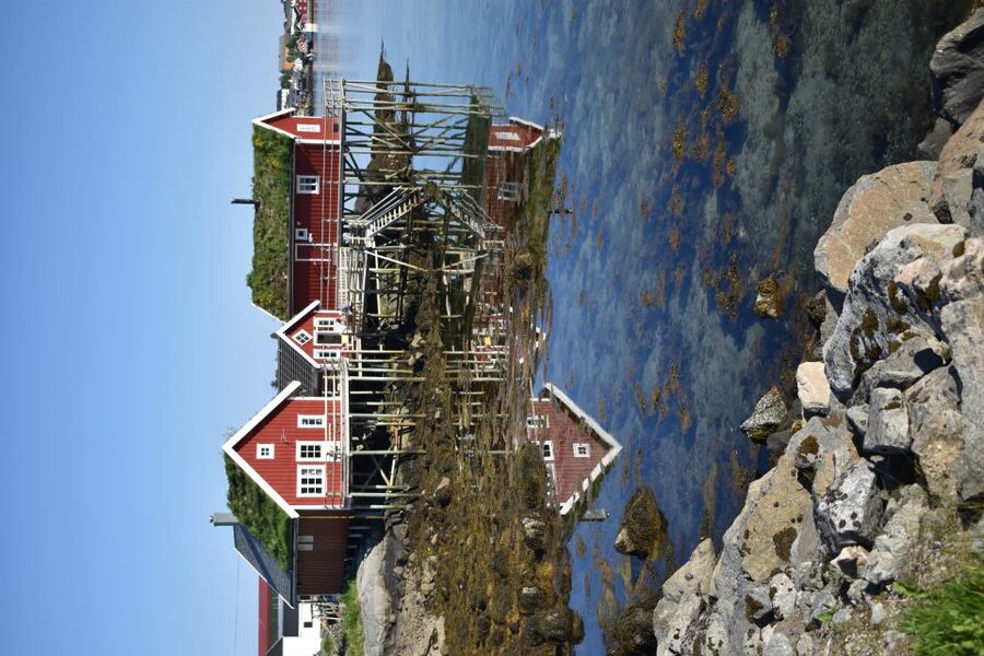 From Leknes City/Port: Private Lofoten Tour with Transfer - Price and Value: What $1,154 Buys for Up to Two