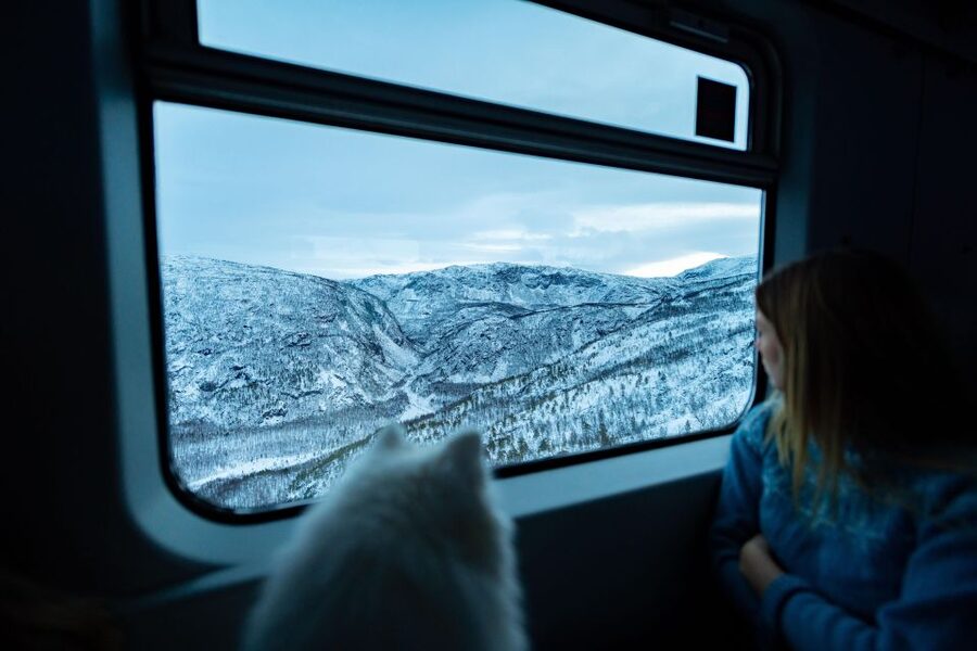 From Narvik: Roundtrip Arctic Train Ride on Ofoten Railway - Ofoten Line rail magic: why this 2.5-hour ride feels longer