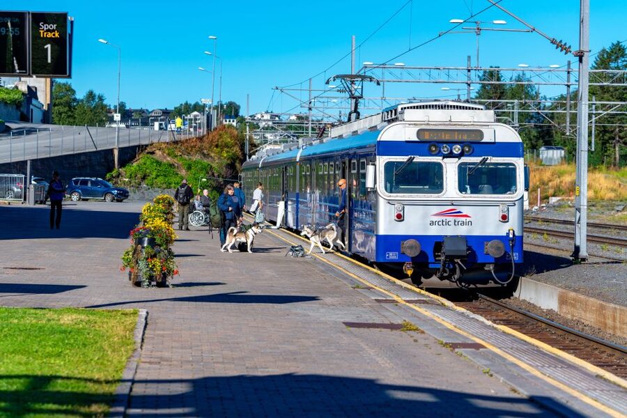 From Narvik: Roundtrip Arctic Train Ride on Ofoten Railway - Seats and photo strategy: get the window side you want
