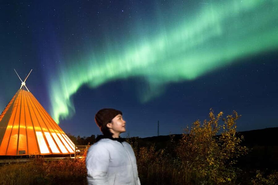 From Narvik: The Northern Lights Arctic Train Guided Tour - What you actually get for your $156