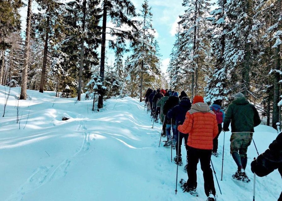 From Oslo: Oslomarka Forest Guided Snowshoeing Tour - Oslomarka starts at Backstube Opera, right near Oslo Central