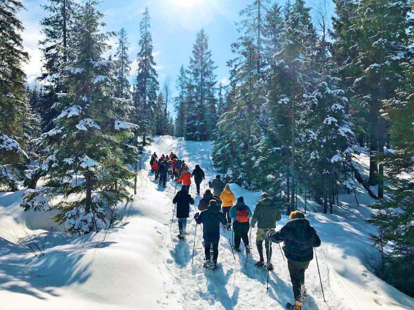 From Oslo: Oslomarka Forest Guided Snowshoeing Tour - Wildlife etiquette: how to not spook deer and foxes