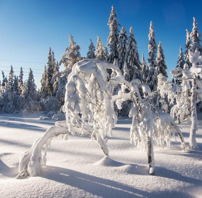 From Oslo: Oslomarka Forest Guided Snowshoeing Tour - What to wear: layering beats guessing in the cold