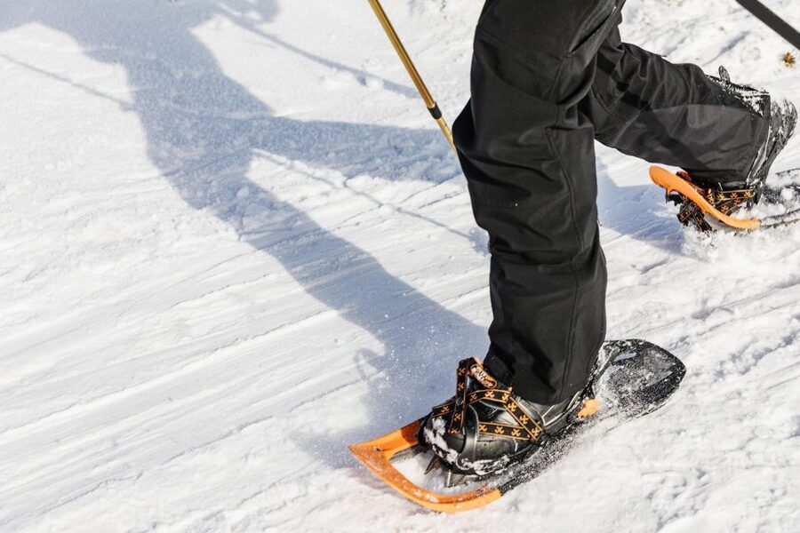From Oslo: Oslomarka Forest Guided Snowshoeing Tour - Price and value at $105: what you are actually paying for