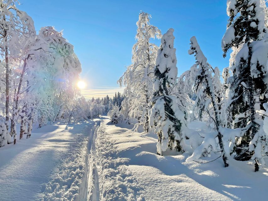 From Oslo: Oslomarka Forest Guided Snowshoeing Tour - Snowshoe 101: the guide makes first-timers feel steady