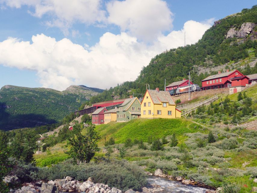 From Oslo: Private Round-Trip Tour to Sognefjord via Flåm - The Flåm Railway down to the fjord: why people talk about it