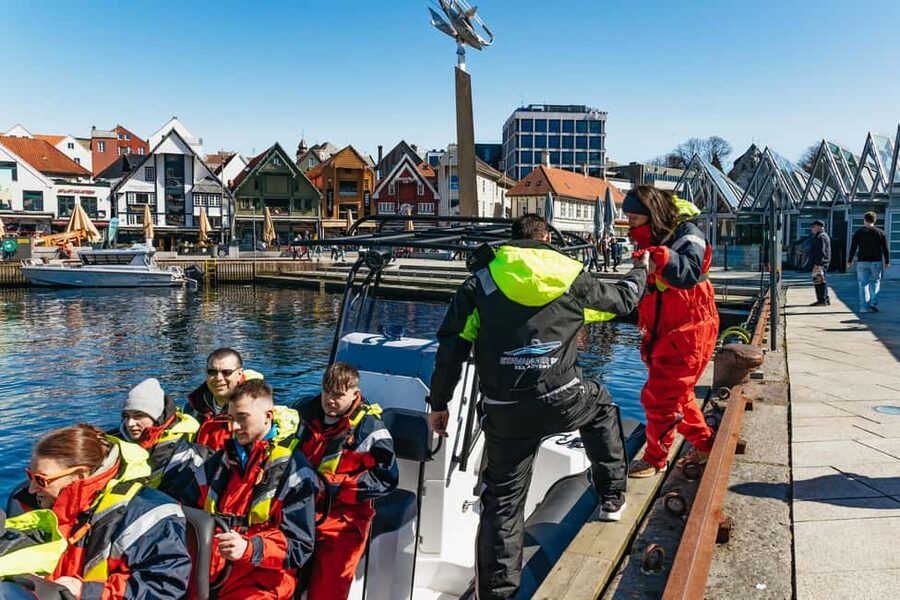 From Stavanger: Lysefjorden & Pulpit Rock RIB Boat Tour - Wildlife spotting at RIB speed, what to watch for and why it’s possible