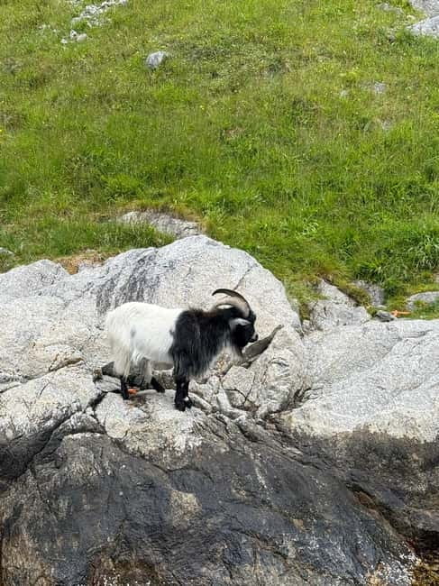 From Stavanger: Lysefjorden & Pulpit Rock Safari by RIB - Finding the meeting point at Strandkaien 34, plus a simple tip