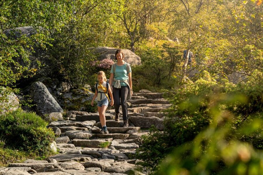 From Stavanger: Pulpit Rock Guided Hike with Pickup - Guide Styles I’d Expect Based on Real Patterns