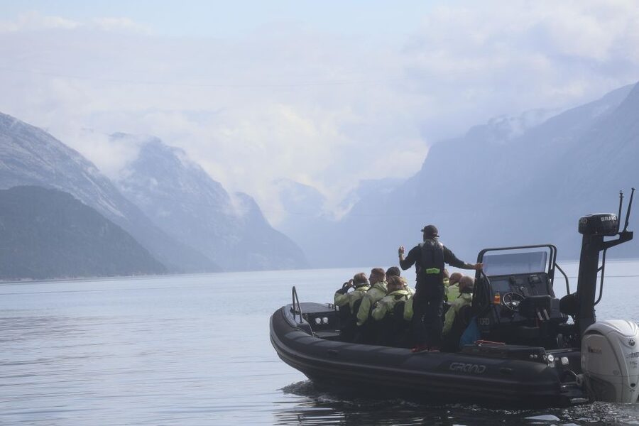 From Stavanger: RIB Tour to Lysefjord - Wildlife spotting at sea level: seals, porpoises, and sea eagles