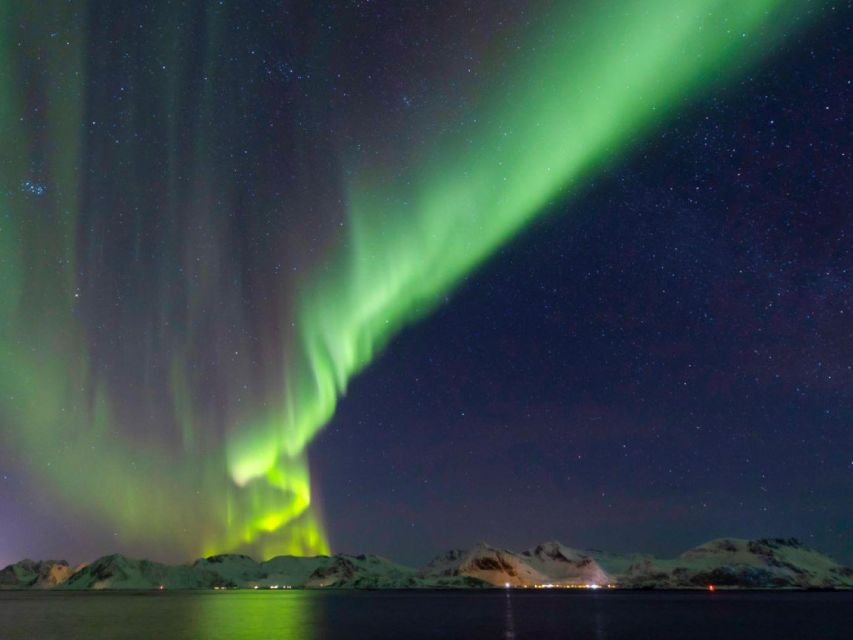 From Svolvær: Guided Northern Lights Tour by Van - Key points to know before you go
