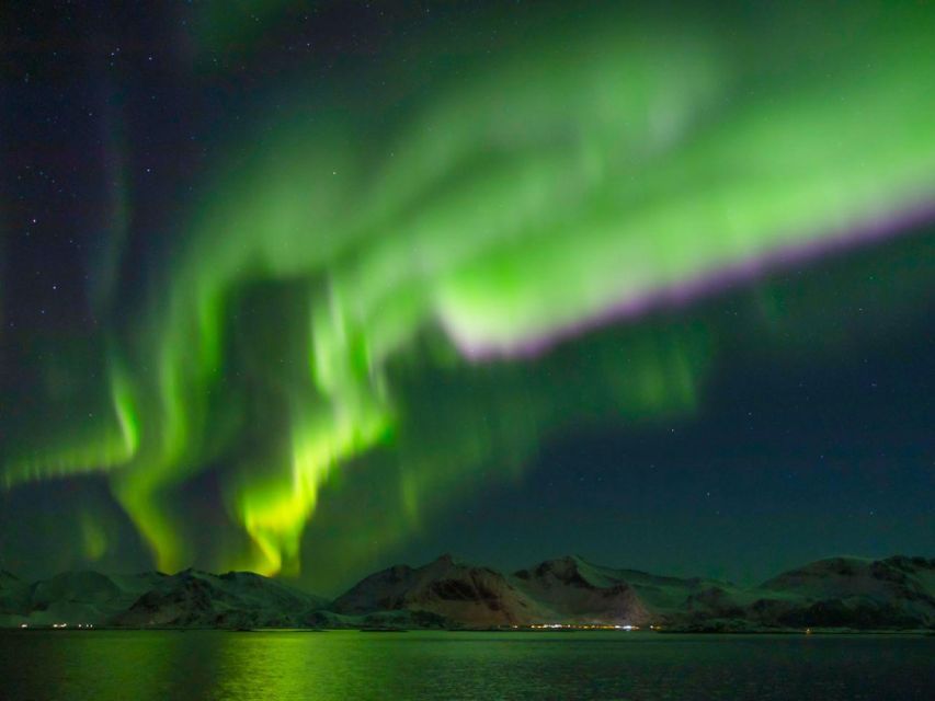 From Svolvær: Guided Northern Lights Tour by Van - A 4-hour night flow that actually works (and when to expect stops)