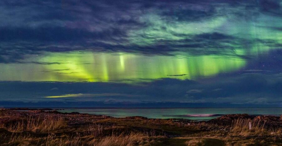 From Svolvær: Guided Northern Lights Tour by Van - The aurora game plan: guides, Vågan, and reading the sky