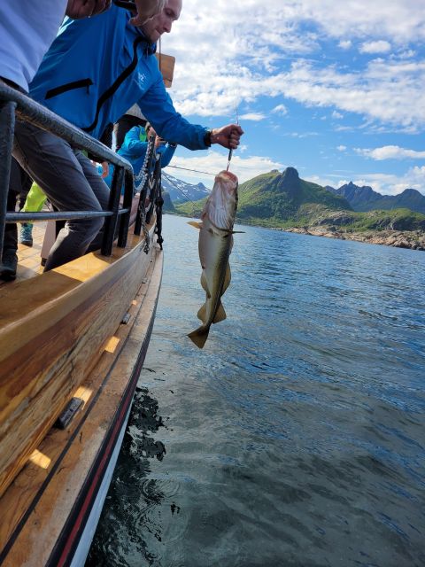 From Svolvaer: Lofoten Fishing Boat Cruise - Onboard rhythm: coffee, stories, and why the trip feels authentic