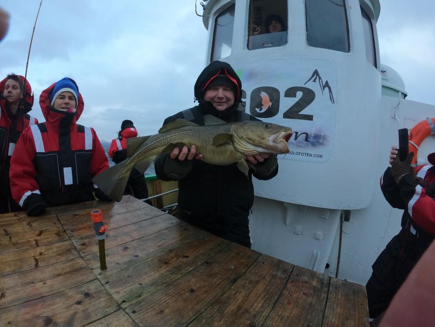 From Svolvaer: Lofoten Fishing Boat Cruise - Price and logistics: does $135 buy real value?
