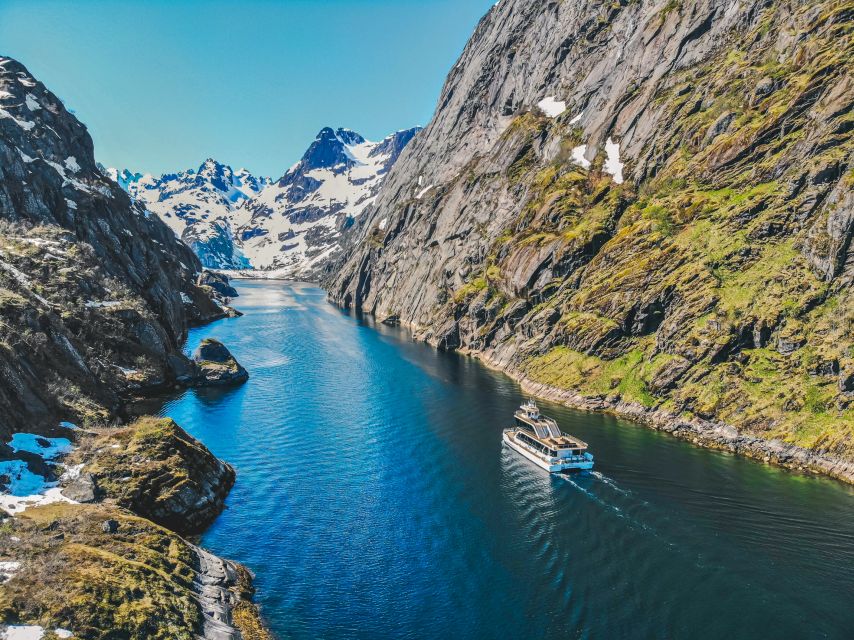 From Svolvær: Lofoten Islands Silent Trollfjord Cruise - Key things I’d circle before you book