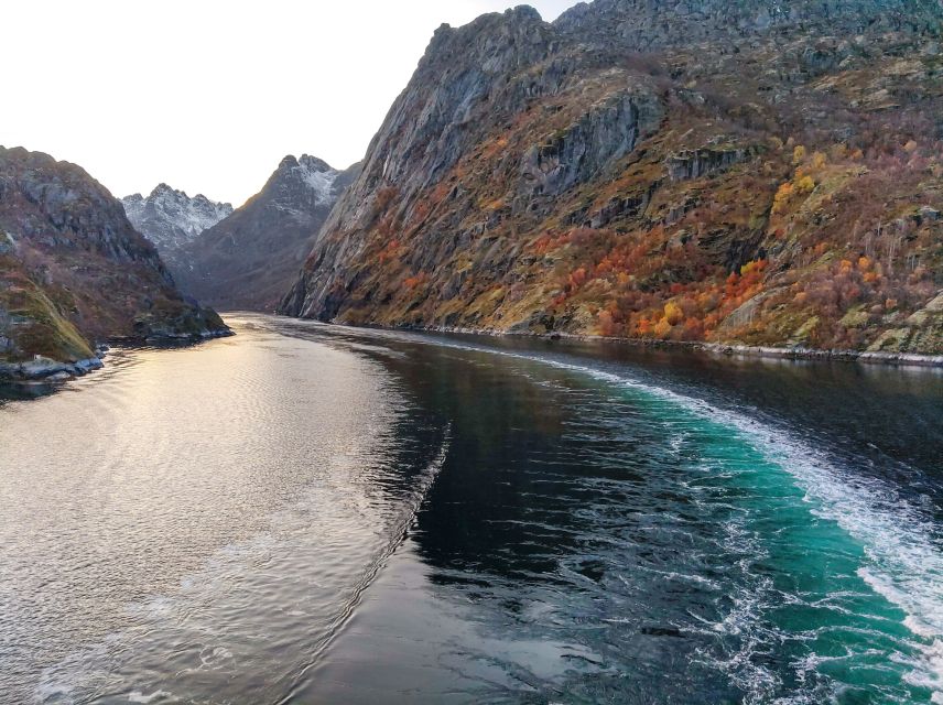 From Svolvær: Lofoten Islands Silent Trollfjord Cruise - Entering Trollfjord, quietly, in a modern hybrid boat