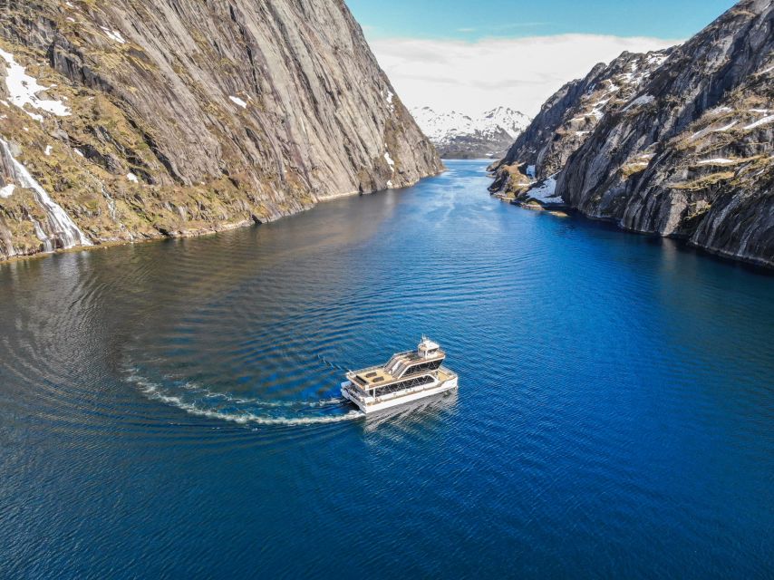 From Svolvær: Lofoten Islands Silent Trollfjord Cruise - The underwater drone moment, when conditions allow
