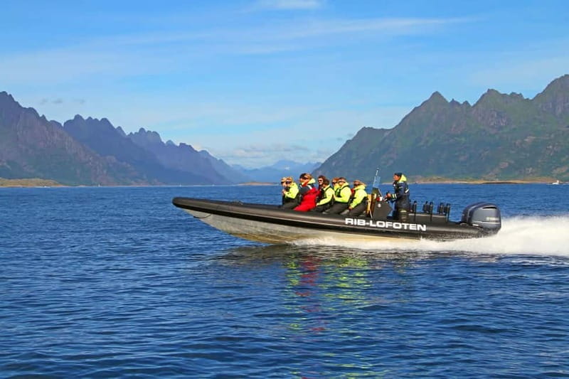 From Svolvær: Lofoten RIB Sea Eagle Safari Trollfjord Cruise - Cruising the Fjord: Speed, Stops, and Photo Time